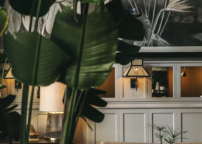 Torel 1884 & פורטו