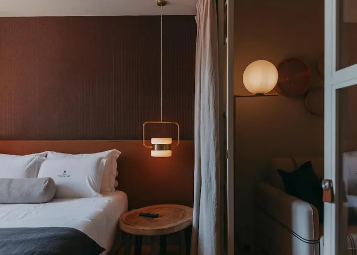 Torel 1884 & פורטו